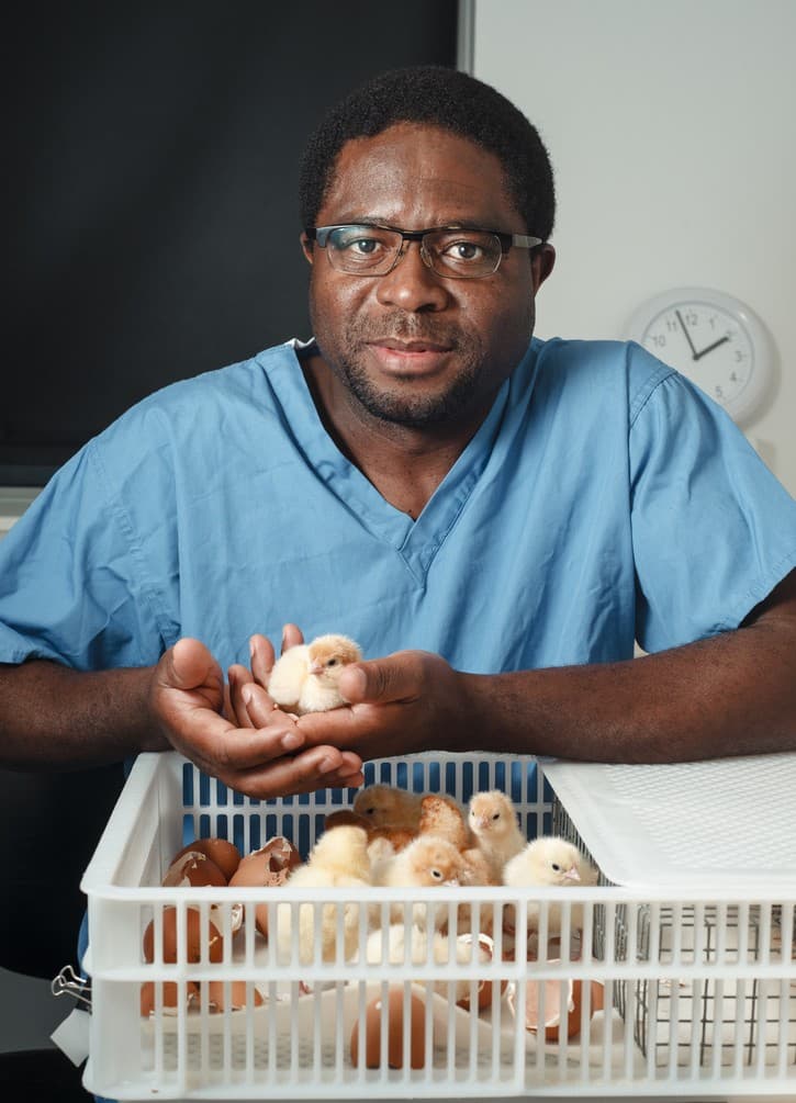 Prof. Appolinaire Djikeng