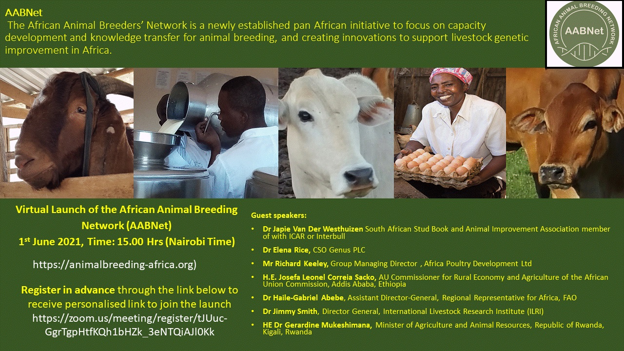 African Animal Breeding Network